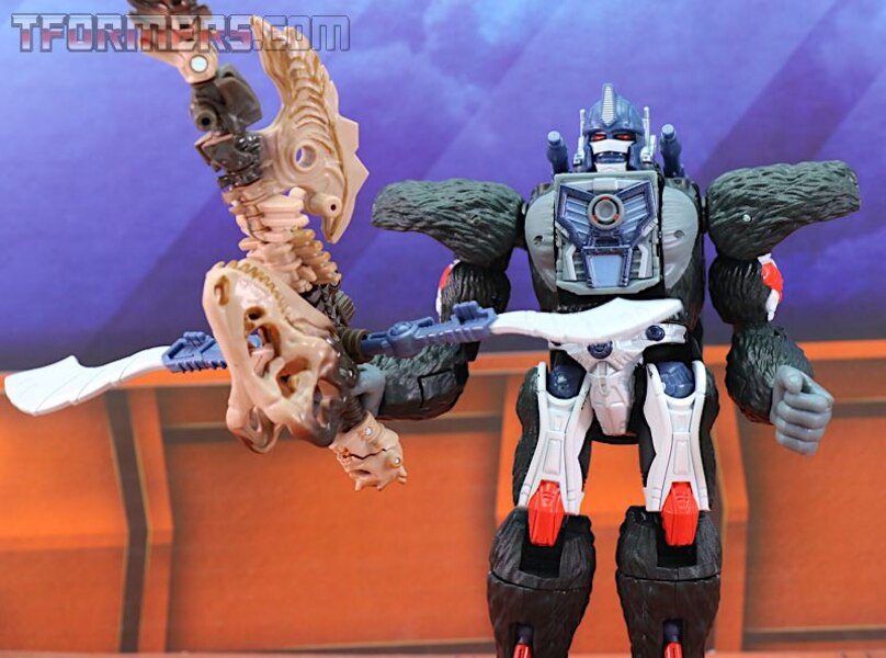 Transformers Kingdom Wave 1 Optimus Primal  (42 of 55)